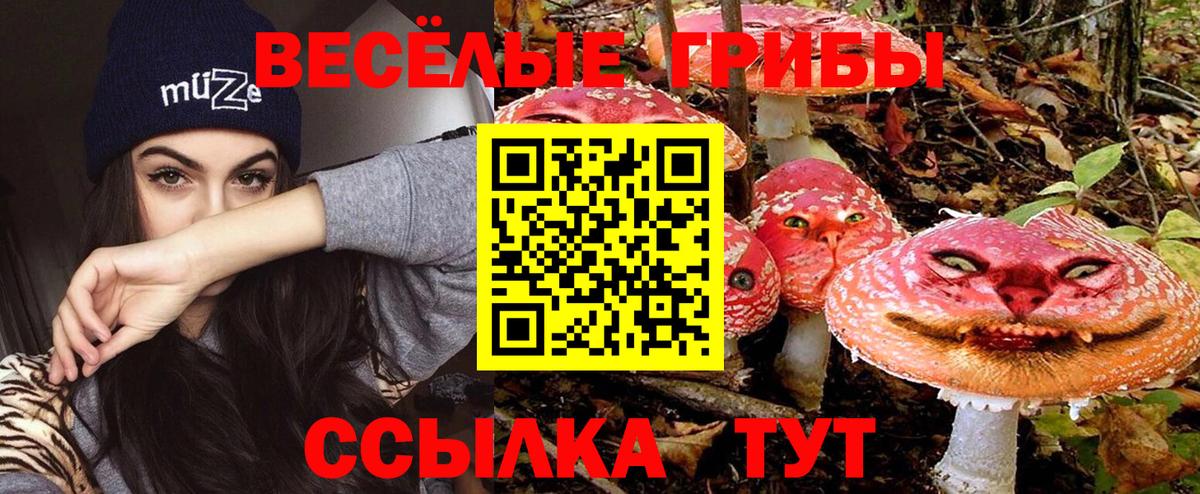 Галлюциногенные грибы Magic Shrooms Мурино