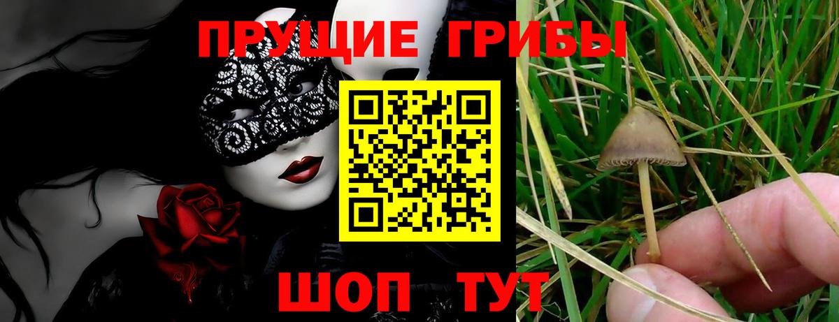 Лсд 25 Мурино